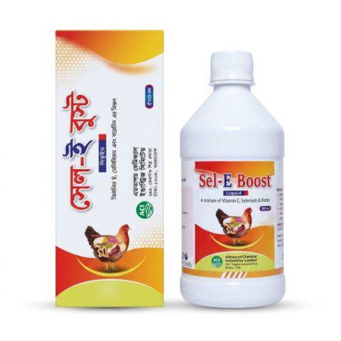 Sel E Boost