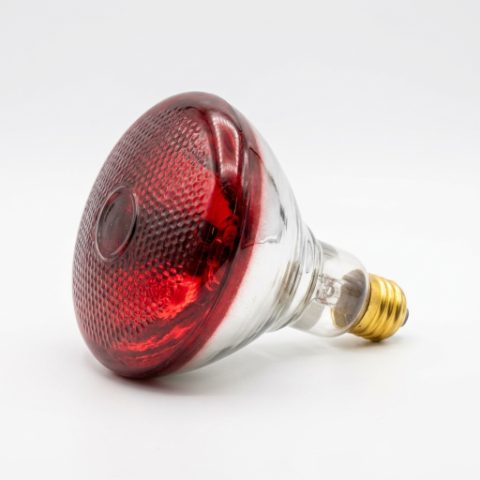 250W Infrared Red Heating Bulb for Poultry Brooder (Free Ceramic Holder Included)