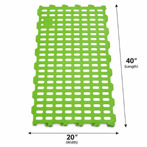 Plastic Slatted Floor / Farm Mat (Pastel Green) - Best Quality in Bangladesh