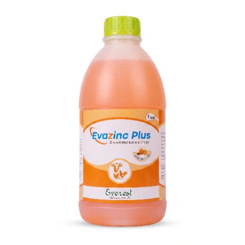 Evazinc Plus (Zinc with Methionine & Choline) - 1 Liter